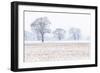 Trees in the field, Darlands Nature Reserve, Borough of Barnet, London, England-Nadia Isakova-Framed Photographic Print