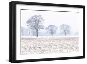 Trees in the field, Darlands Nature Reserve, Borough of Barnet, London, England-Nadia Isakova-Framed Photographic Print