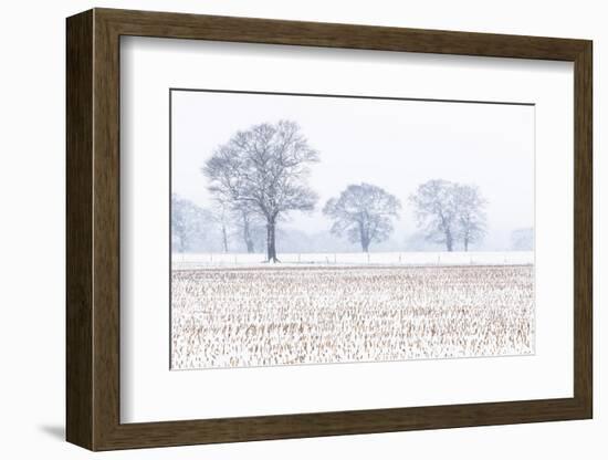 Trees in the field, Darlands Nature Reserve, Borough of Barnet, London, England-Nadia Isakova-Framed Photographic Print