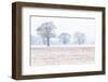 Trees in the field, Darlands Nature Reserve, Borough of Barnet, London, England-Nadia Isakova-Framed Photographic Print