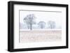 Trees in the field, Darlands Nature Reserve, Borough of Barnet, London, England-Nadia Isakova-Framed Photographic Print