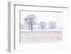 Trees in the field, Darlands Nature Reserve, Borough of Barnet, London, England-Nadia Isakova-Framed Photographic Print
