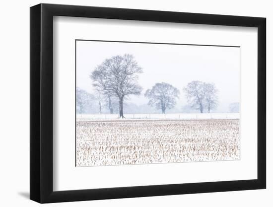 Trees in the field, Darlands Nature Reserve, Borough of Barnet, London, England-Nadia Isakova-Framed Premium Photographic Print