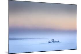 Trees in the frozen landscape, cold temperatures as low as -47 celsius, Lapland, Sweden-Panoramic Images-Mounted Photographic Print