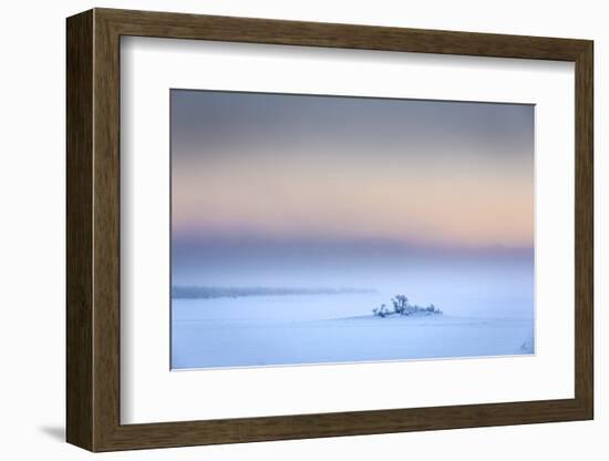 Trees in the frozen landscape, cold temperatures as low as -47 celsius, Lapland, Sweden-Panoramic Images-Framed Photographic Print