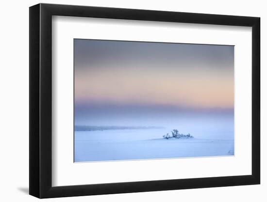 Trees in the frozen landscape, cold temperatures as low as -47 celsius, Lapland, Sweden-Panoramic Images-Framed Photographic Print