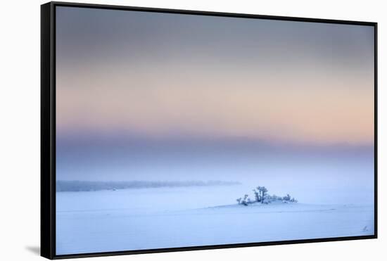 Trees in the frozen landscape, cold temperatures as low as -47 celsius, Lapland, Sweden-Panoramic Images-Framed Stretched Canvas