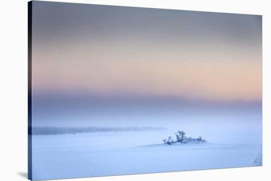 Trees in the frozen landscape, cold temperatures as low as -47 celsius, Lapland, Sweden-Panoramic Images-Stretched Canvas