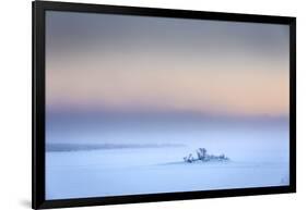 Trees in the frozen landscape, cold temperatures as low as -47 celsius, Lapland, Sweden-Panoramic Images-Framed Photographic Print