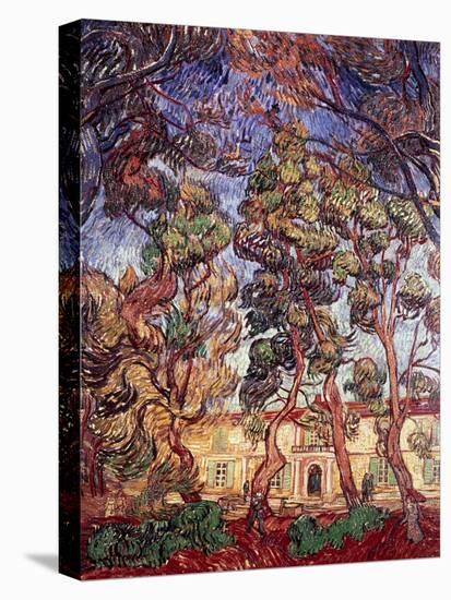 Trees in the Garden of Saint-Paul Hospital-Vincent van Gogh-Stretched Canvas