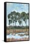 Trees in the Marsh II-Tim OToole-Framed Stretched Canvas