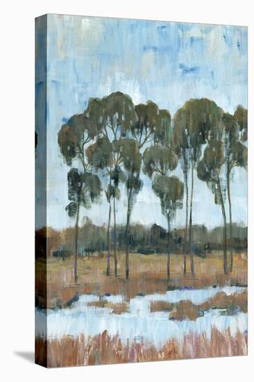 Trees in the Marsh II-Tim OToole-Stretched Canvas
