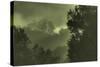 Trees in the Mist-Vincent James-Stretched Canvas