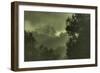 Trees in the Mist-Vincent James-Framed Photographic Print