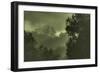 Trees in the Mist-Vincent James-Framed Photographic Print