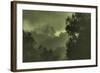 Trees in the Mist-Vincent James-Framed Photographic Print