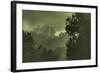 Trees in the Mist-Vincent James-Framed Photographic Print