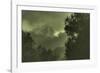 Trees in the Mist-Vincent James-Framed Photographic Print
