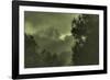 Trees in the Mist-Vincent James-Framed Photographic Print