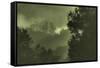 Trees in the Mist-Vincent James-Framed Stretched Canvas