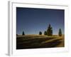 Trees in the Moonlight, Starry Sky, Otago, South Island, New Zealand-Rainer Mirau-Framed Photographic Print