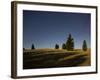 Trees in the Moonlight, Starry Sky, Otago, South Island, New Zealand-Rainer Mirau-Framed Photographic Print