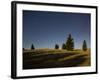 Trees in the Moonlight, Starry Sky, Otago, South Island, New Zealand-Rainer Mirau-Framed Photographic Print