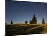 Trees in the Moonlight, Starry Sky, Otago, South Island, New Zealand-Rainer Mirau-Mounted Photographic Print