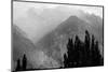 Trees in the Mountains-Imaginative-Mounted Photographic Print