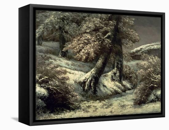 Trees in the Snow, C.1865-Gustave Courbet-Framed Stretched Canvas