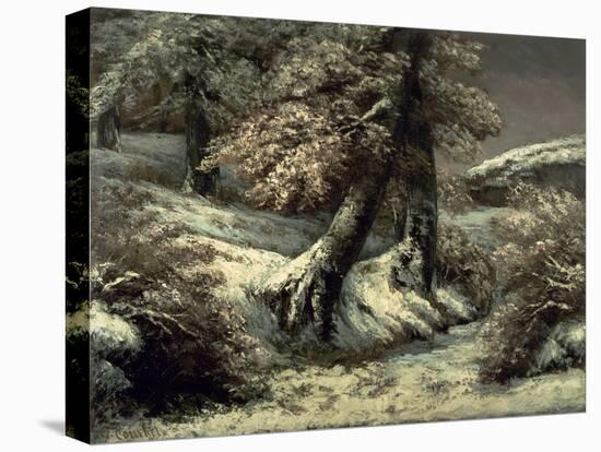 Trees in the Snow, C.1865-Gustave Courbet-Stretched Canvas