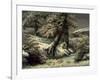 Trees in the Snow, C.1865-Gustave Courbet-Framed Giclee Print