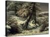 Trees in the Snow, C.1865-Gustave Courbet-Stretched Canvas