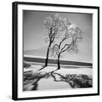 Trees in the Snow-Alfred Eisenstaedt-Framed Premium Photographic Print