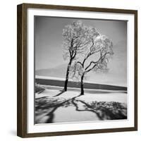 Trees in the Snow-Alfred Eisenstaedt-Framed Photographic Print