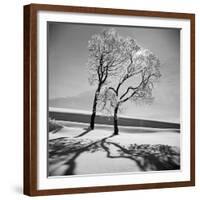 Trees in the Snow-Alfred Eisenstaedt-Framed Photographic Print