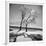 Trees in the Snow-Alfred Eisenstaedt-Framed Premium Photographic Print