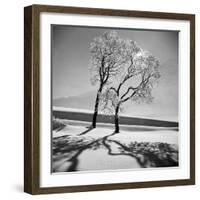 Trees in the Snow-Alfred Eisenstaedt-Framed Photographic Print