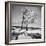 Trees in the Snow-Alfred Eisenstaedt-Framed Photographic Print