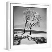 Trees in the Snow-Alfred Eisenstaedt-Framed Photographic Print