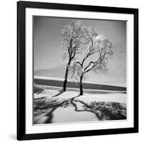 Trees in the Snow-Alfred Eisenstaedt-Framed Photographic Print