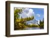 Trees in the upper reaches of the Lena River, Baikalo-Lensky Reserve, Siberia, Russia-Olga Kamenskaya-Framed Photographic Print