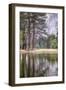 Trees in the Valley, Yosemite National Park-Vincent James-Framed Photographic Print