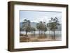 Trees in the water, Blue River Provincial Park, Yate, New Caledonia, Pacific-Michael Runkel-Framed Photographic Print