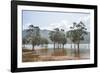 Trees in the water, Blue River Provincial Park, Yate, New Caledonia, Pacific-Michael Runkel-Framed Photographic Print