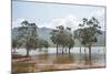 Trees in the water, Blue River Provincial Park, Yate, New Caledonia, Pacific-Michael Runkel-Mounted Photographic Print