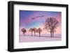 Trees in the Winter Wind-Philippe Sainte-Laudy-Framed Photographic Print