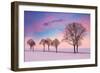 Trees in the Winter Wind-Philippe Sainte-Laudy-Framed Photographic Print