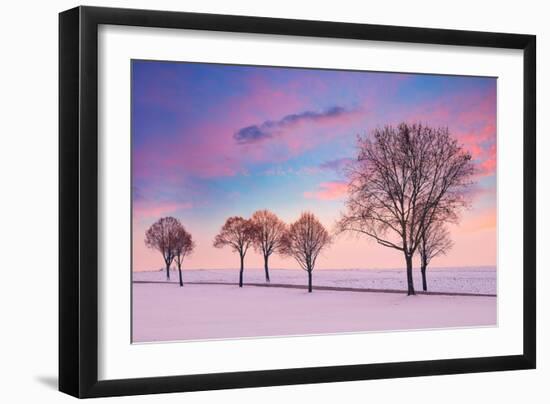 Trees in the Winter Wind-Philippe Sainte-Laudy-Framed Photographic Print