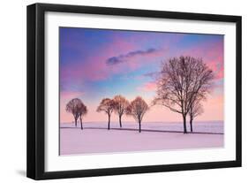 Trees in the Winter Wind-Philippe Sainte-Laudy-Framed Photographic Print